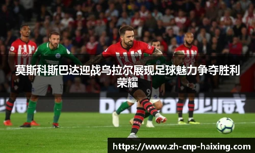 海星体育直播